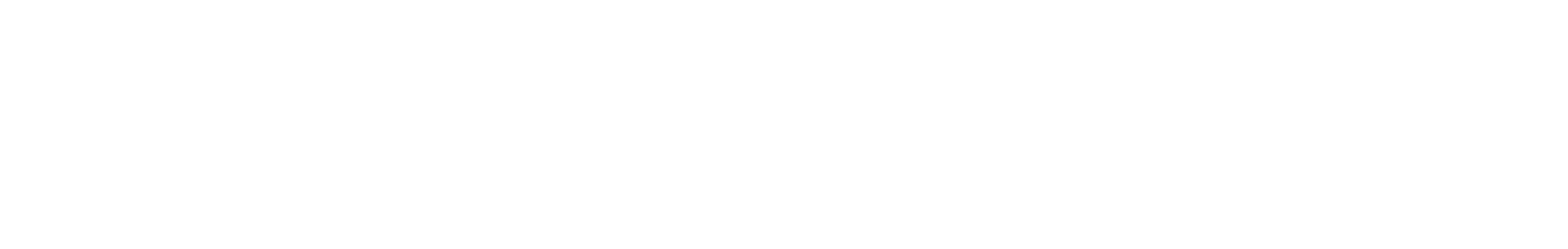 Logo NetMeSafe